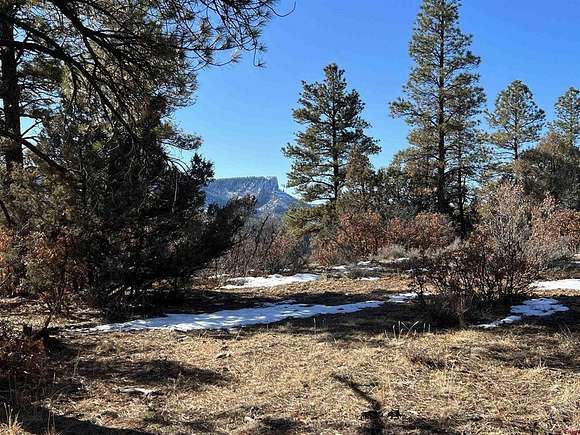 5.2 Acres of Residential Land for Sale in Pagosa Springs, Colorado