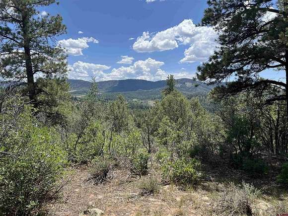 5.21 Acres of Residential Land for Sale in Pagosa Springs, Colorado