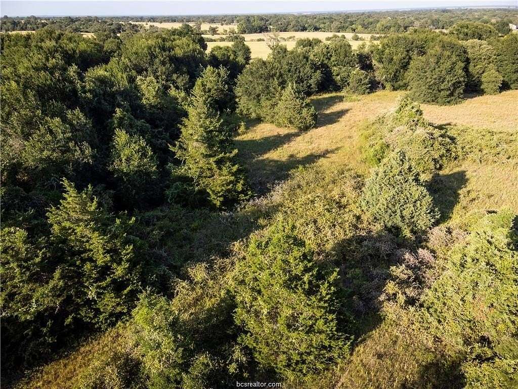 3 Acres of Land for Sale in Caldwell, Texas