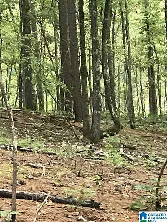 0.48 Acres of Land for Sale in Alpine, Alabama