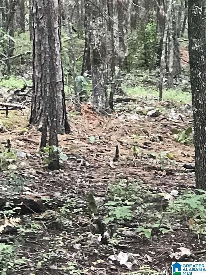 0.37 Acres of Land for Sale in Alpine, Alabama