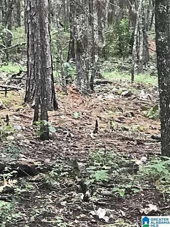 0.37 Acres of Land for Sale in Alpine, Alabama