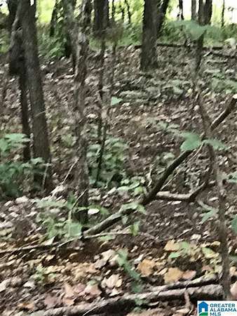 0.37 Acres of Land for Sale in Alpine, Alabama