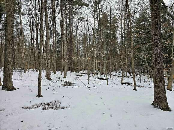 16 Acres of Recreational Land for Sale in Candor, New York