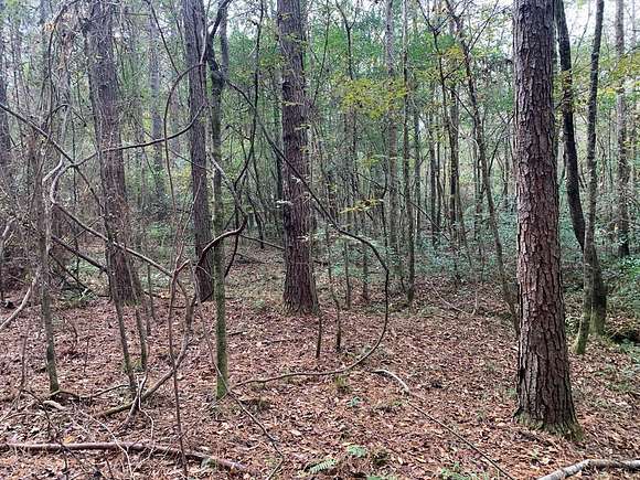 160 Acres of Recreational Land for Sale in Smithdale, Mississippi