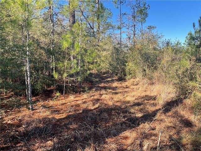 43 Acres of Recreational Land for Sale in Kentwood, Louisiana