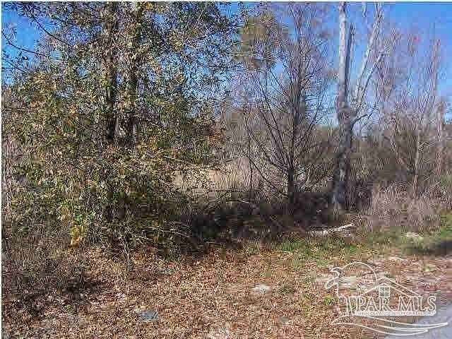 0.45 Acres of Land for Sale in Wewahitchka, Florida