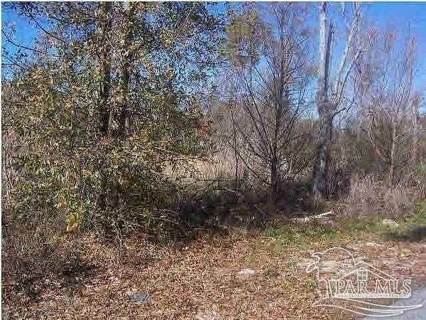 0.45 Acres of Land for Sale in Wewahitchka, Florida