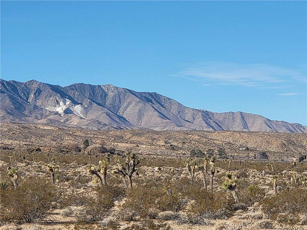 19.8 Acres of Land for Sale in Lucerne Valley, California