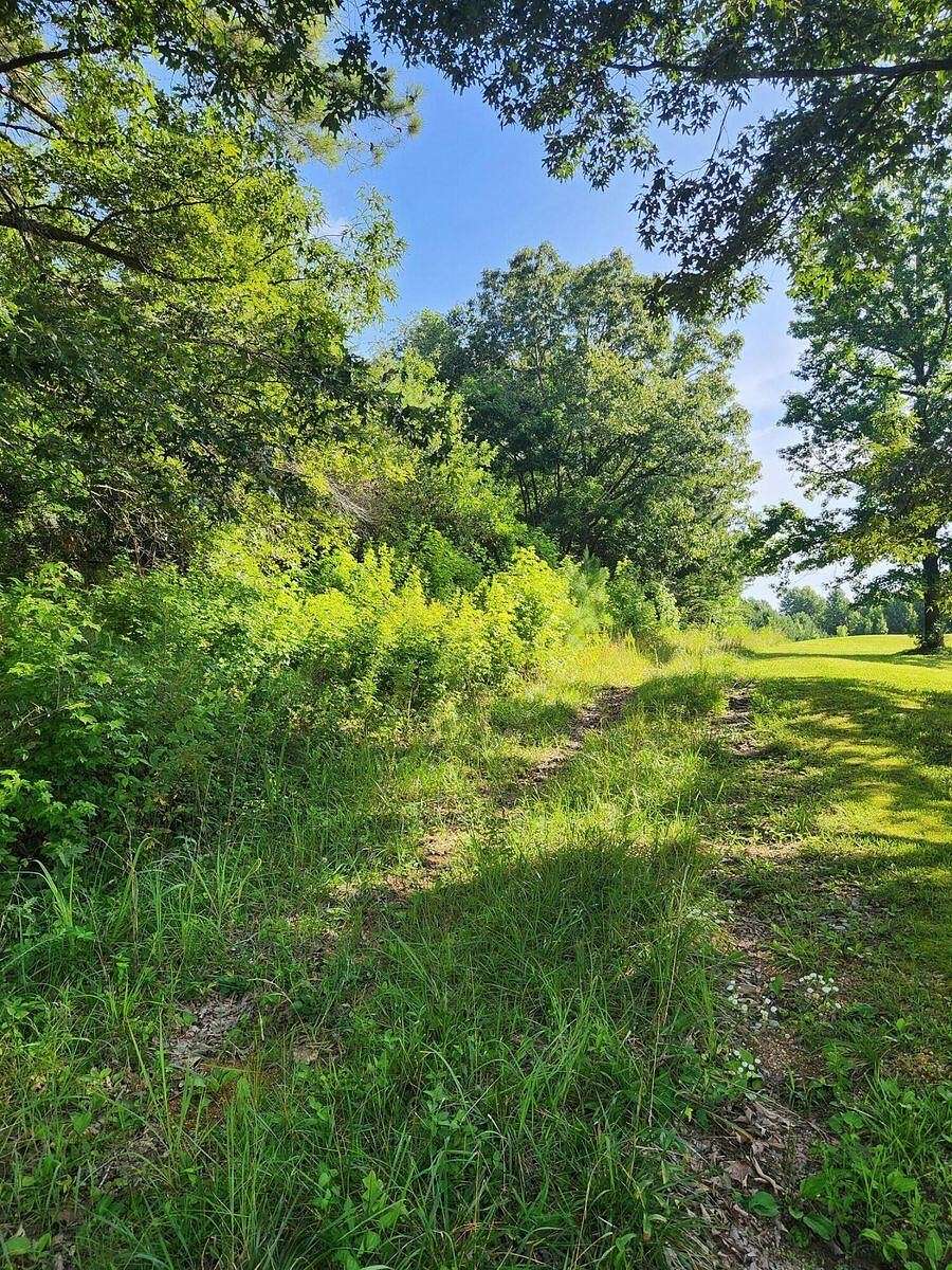 66.43 Acres of Recreational Land for Sale in Sale Creek, Tennessee