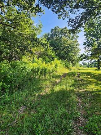 66.4 Acres of Recreational Land for Sale in Sale Creek, Tennessee