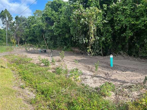 0.18 Acres of Residential Land for Sale in Poinciana, Florida