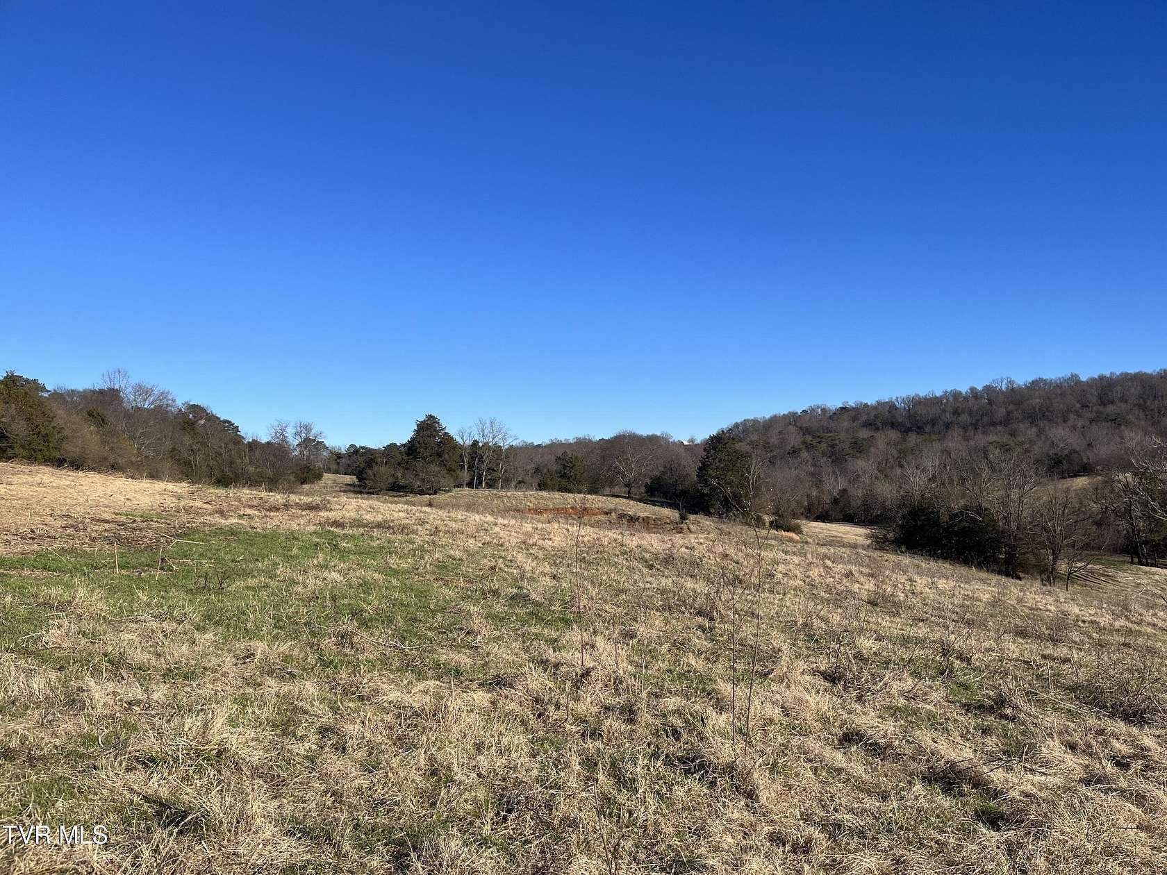 50 Acres of Recreational Land & Farm for Sale in Greeneville, Tennessee