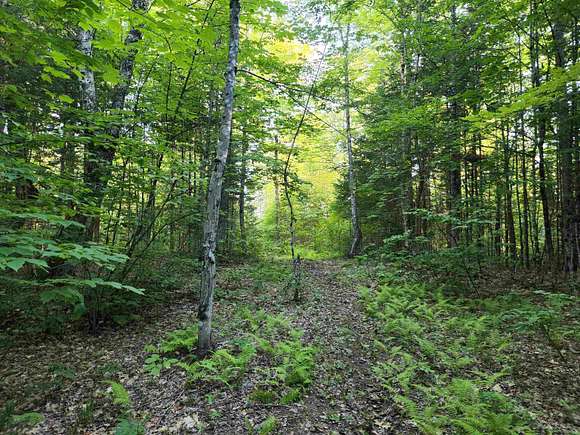 24.38 Acres of Recreational Land for Sale in Lyman Town, New Hampshire