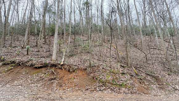 5.2 Acres of Residential Land for Sale in Sevierville, Tennessee