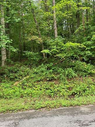 Residential Land for Sale in Turtletown, Tennessee