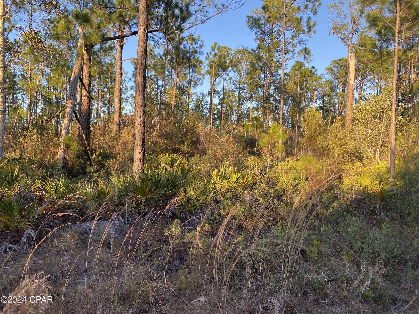 5 Acres of Residential Land for Sale in Fountain, Florida