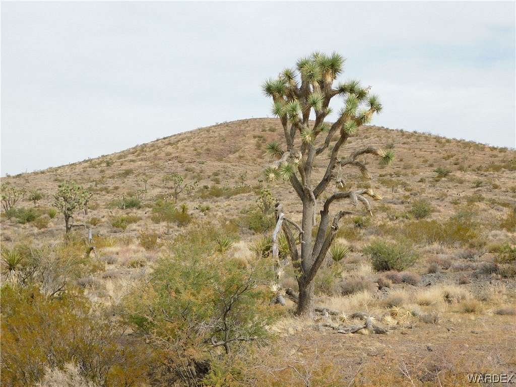 60 Acres of Land for Sale in Dolan Springs, Arizona