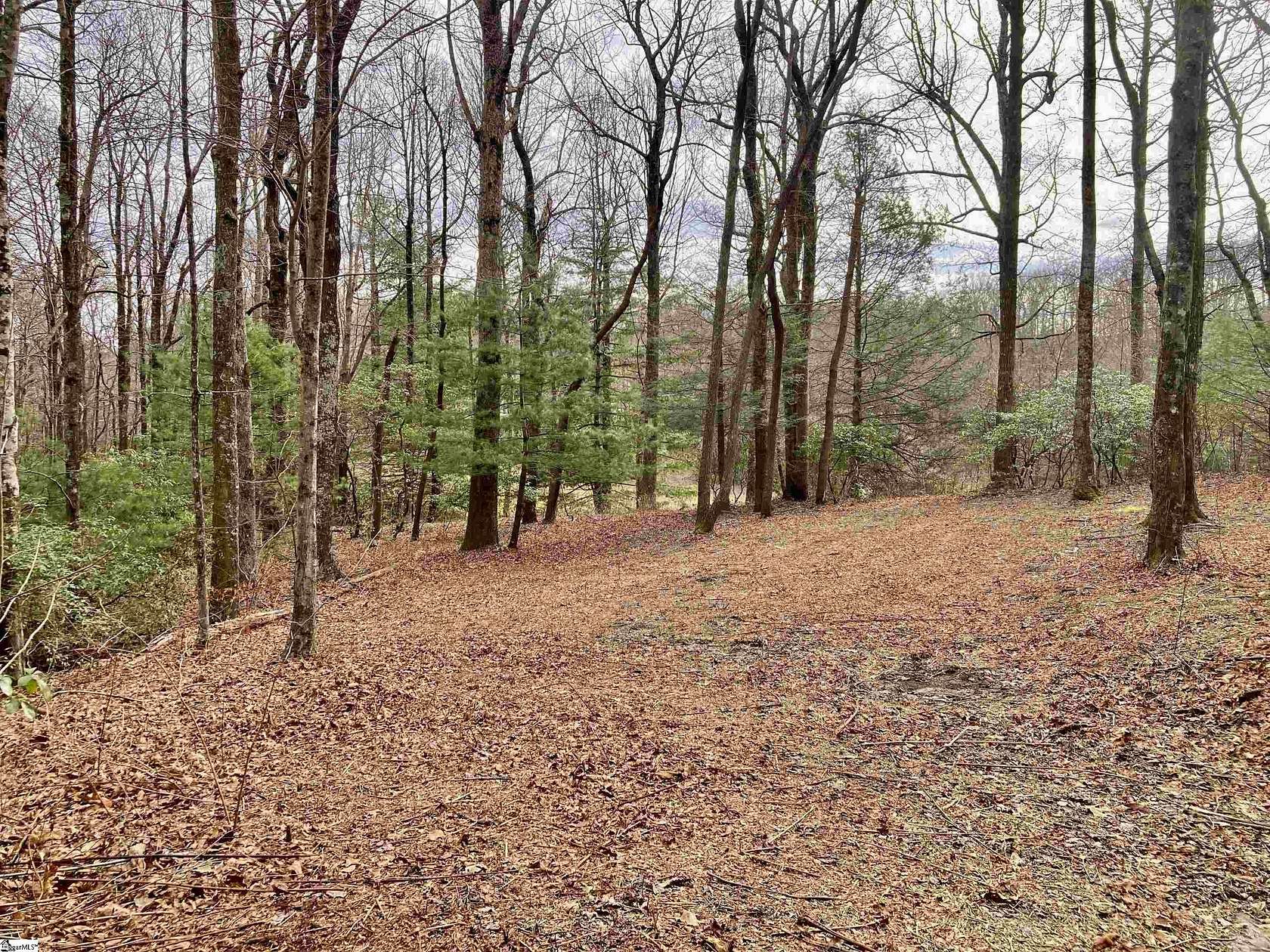 1.67 Acres of Residential Land for Sale in Landrum, South Carolina