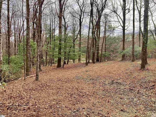 1.67 Acres of Residential Land for Sale in Landrum, South Carolina