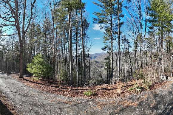 48 Acres of Land with Home for Sale in Marshall, North Carolina