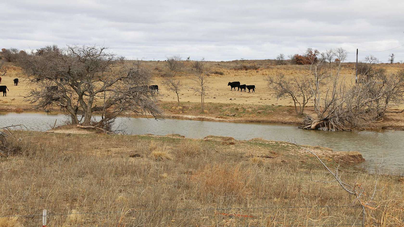 240 Acres of Recreational Land & Farm for Sale in Mooreland, Oklahoma