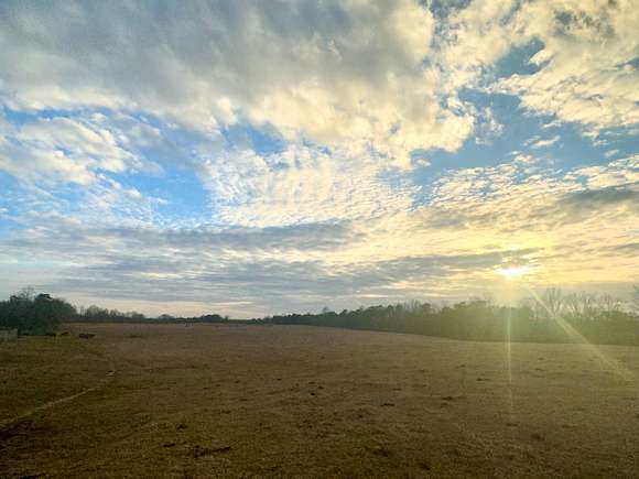 114 Acres of Land for Sale in Clanton, Alabama