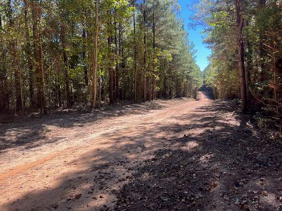 11.5 Acres of Recreational Land for Sale in Northport, Alabama