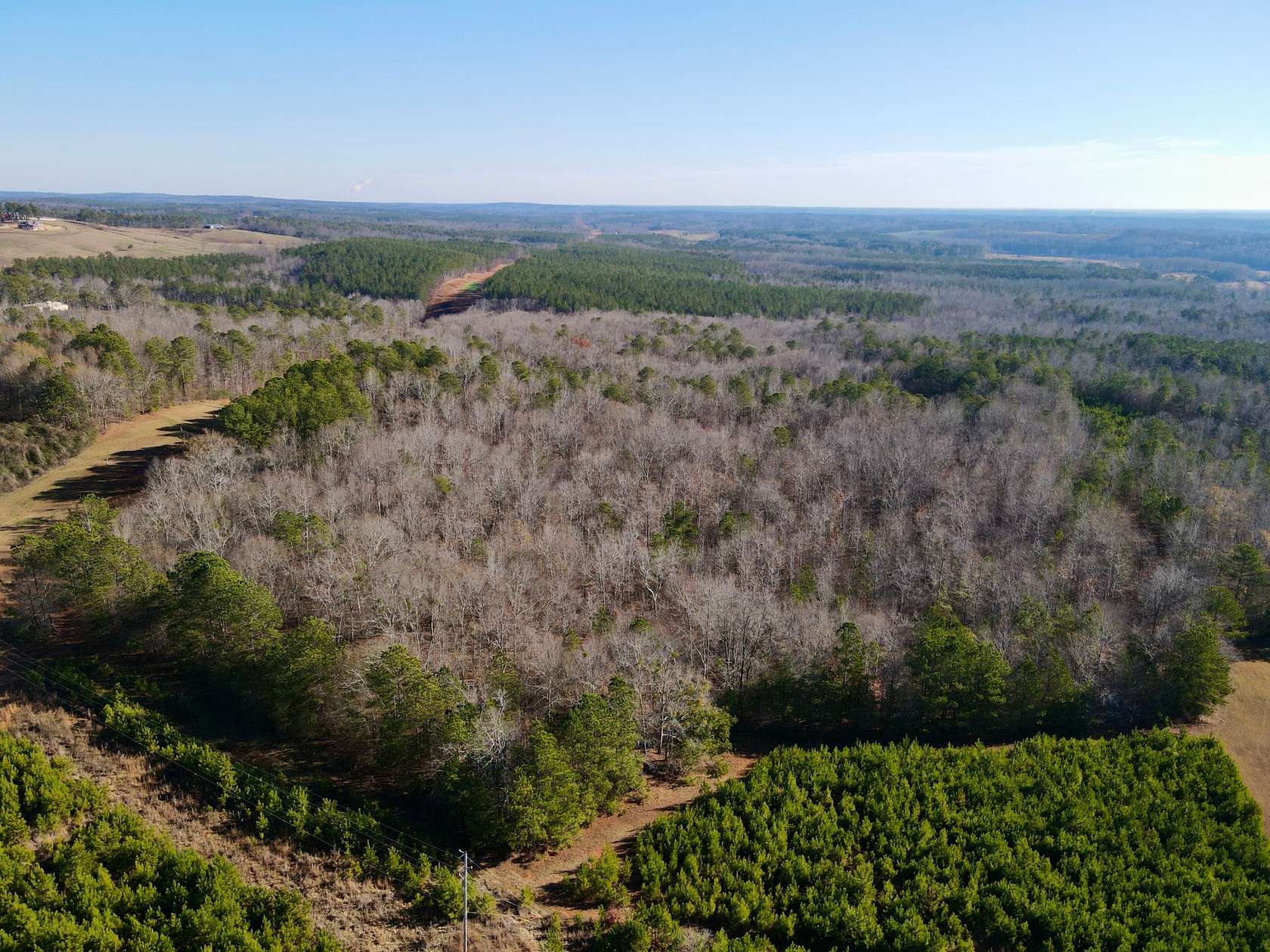 58 Acres of Land for Sale in Roanoke, Alabama