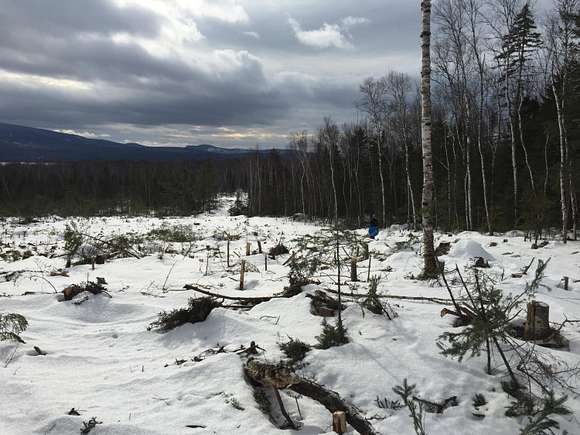 25.3 Acres of Land for Sale in Rangeley Town, Maine
