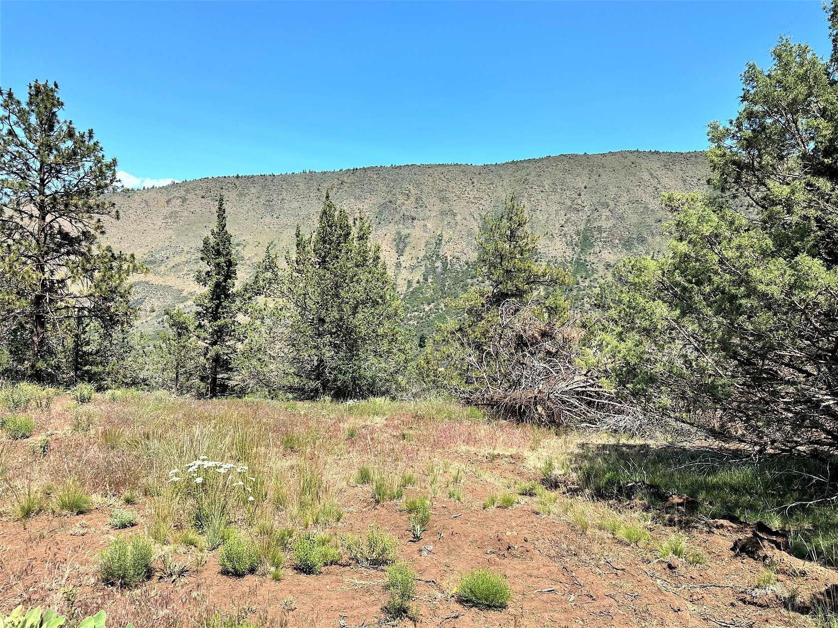 10 Acres of Land for Sale in Klamath Falls, Oregon