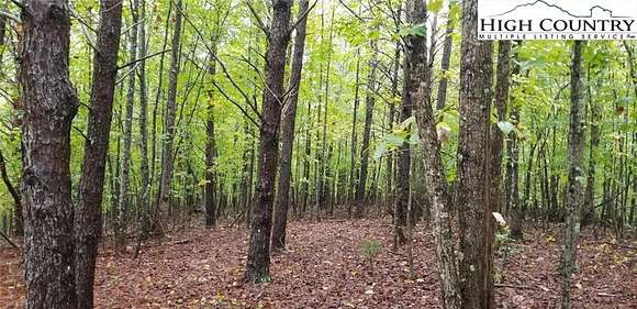 31.9 Acres of Agricultural Land for Sale in Rutherfordton, North Carolina