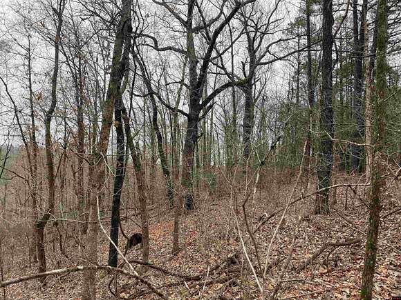 5 Acres of Land for Sale in Yellville, Arkansas