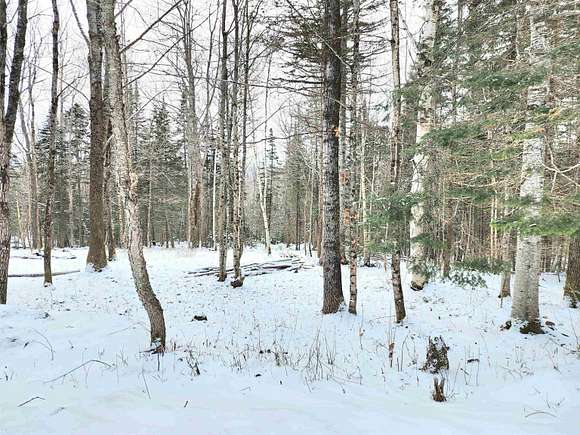 11 Acres of Land for Sale in Canaan, Vermont