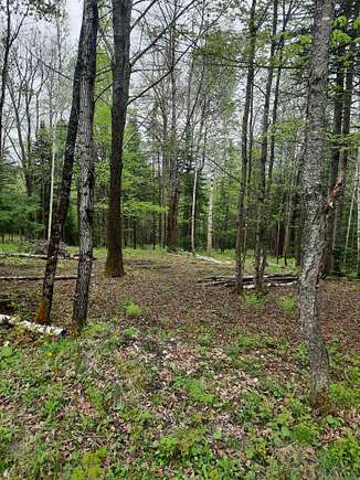11 Acres of Land for Sale in Canaan, Vermont
