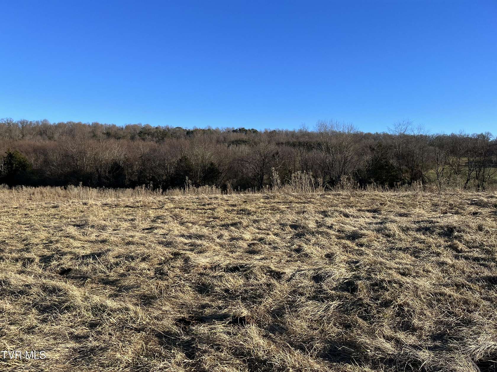 100 Acres of Agricultural Land for Sale in Greeneville, Tennessee