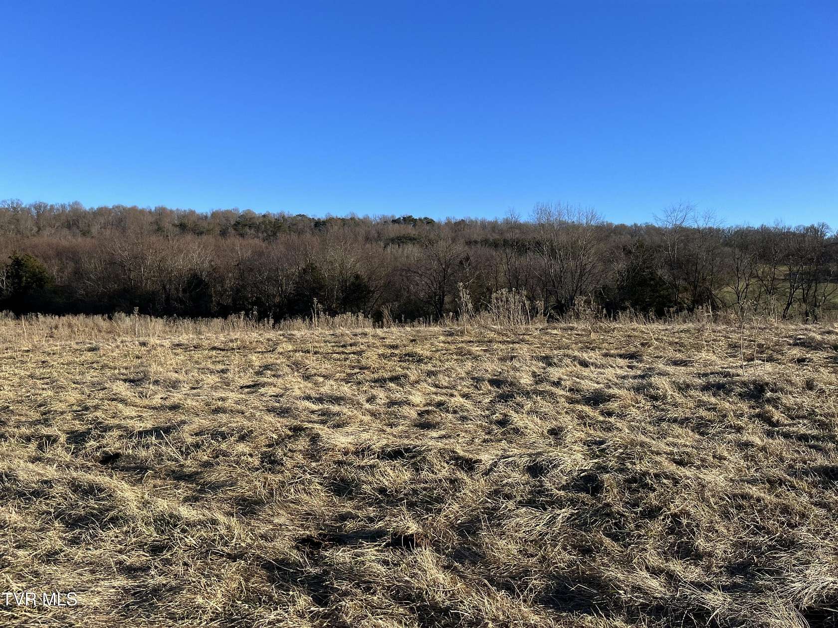 100 Acres of Recreational Land & Farm for Sale in Greeneville, Tennessee