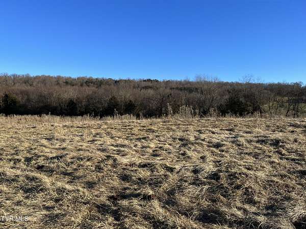 100 Acres of Recreational Land & Farm for Sale in Greeneville, Tennessee
