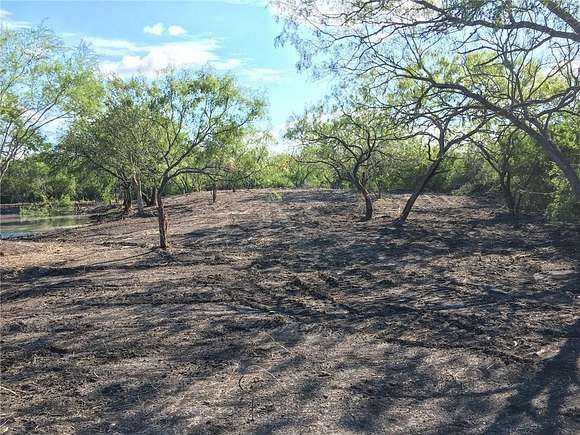 Residential Land for Sale in Orange Grove, Texas