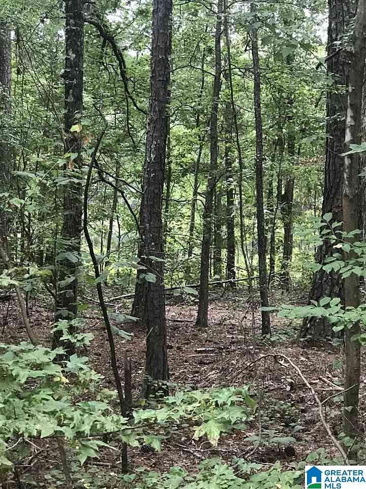 0.76 Acres of Land for Sale in Alpine, Alabama