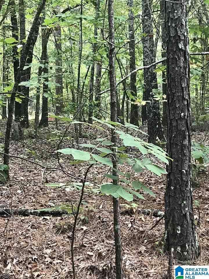 0.55 Acres of Land for Sale in Alpine, Alabama