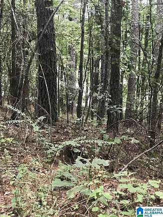 0.42 Acres of Land for Sale in Alpine, Alabama