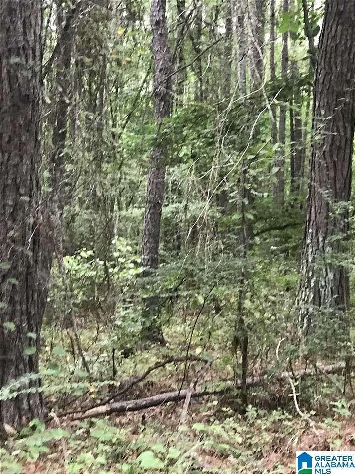 0.5 Acres of Land for Sale in Alpine, Alabama