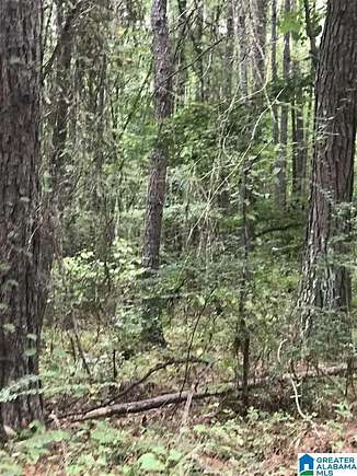 0.5 Acres of Land for Sale in Alpine, Alabama