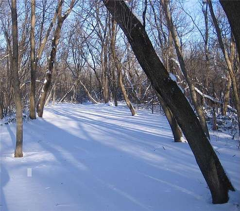 5.8 Acres of Residential Land for Sale in Austin, Minnesota
