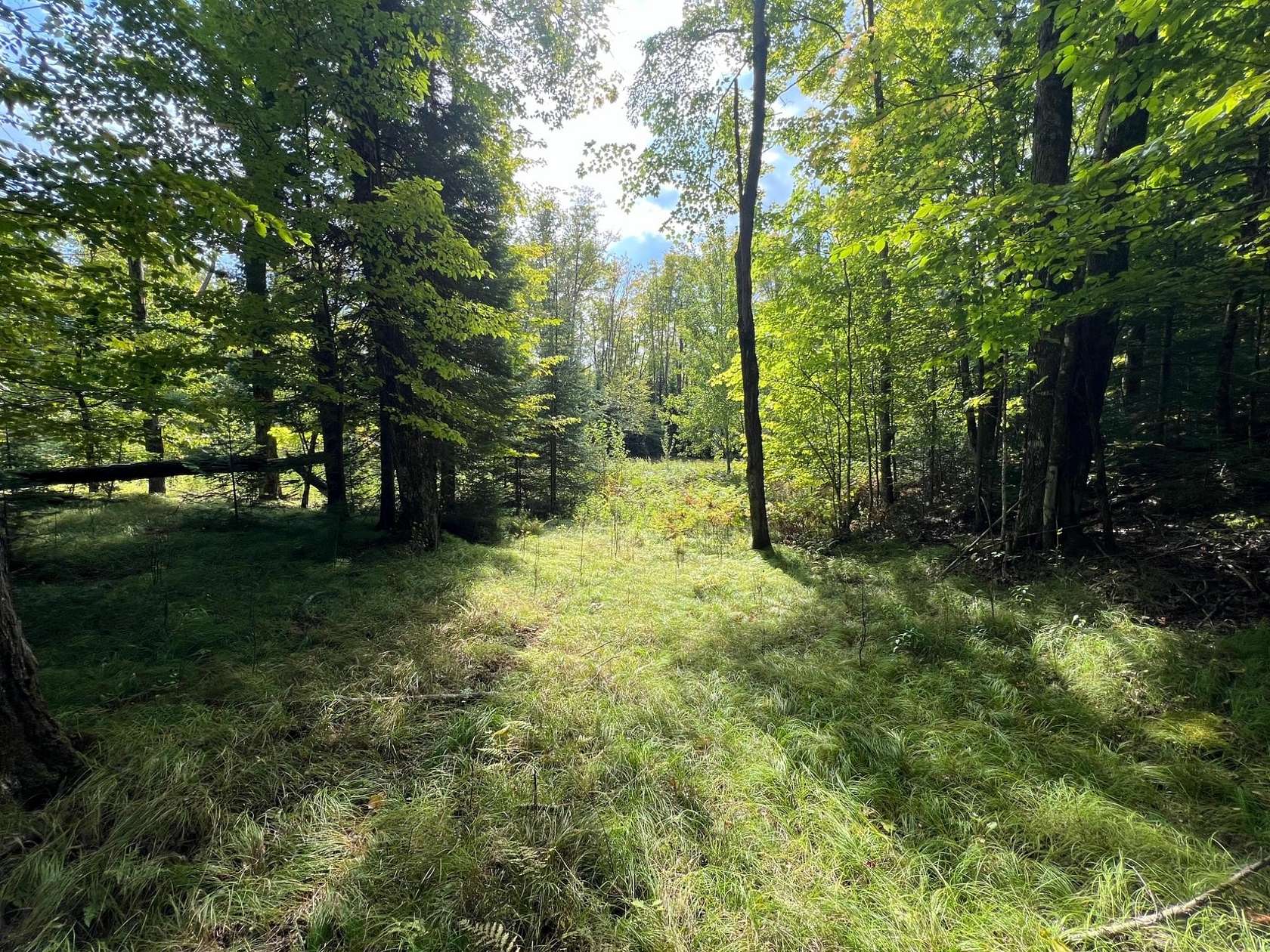 5.84 Acres of Land for Sale in Marenisco Township, Michigan