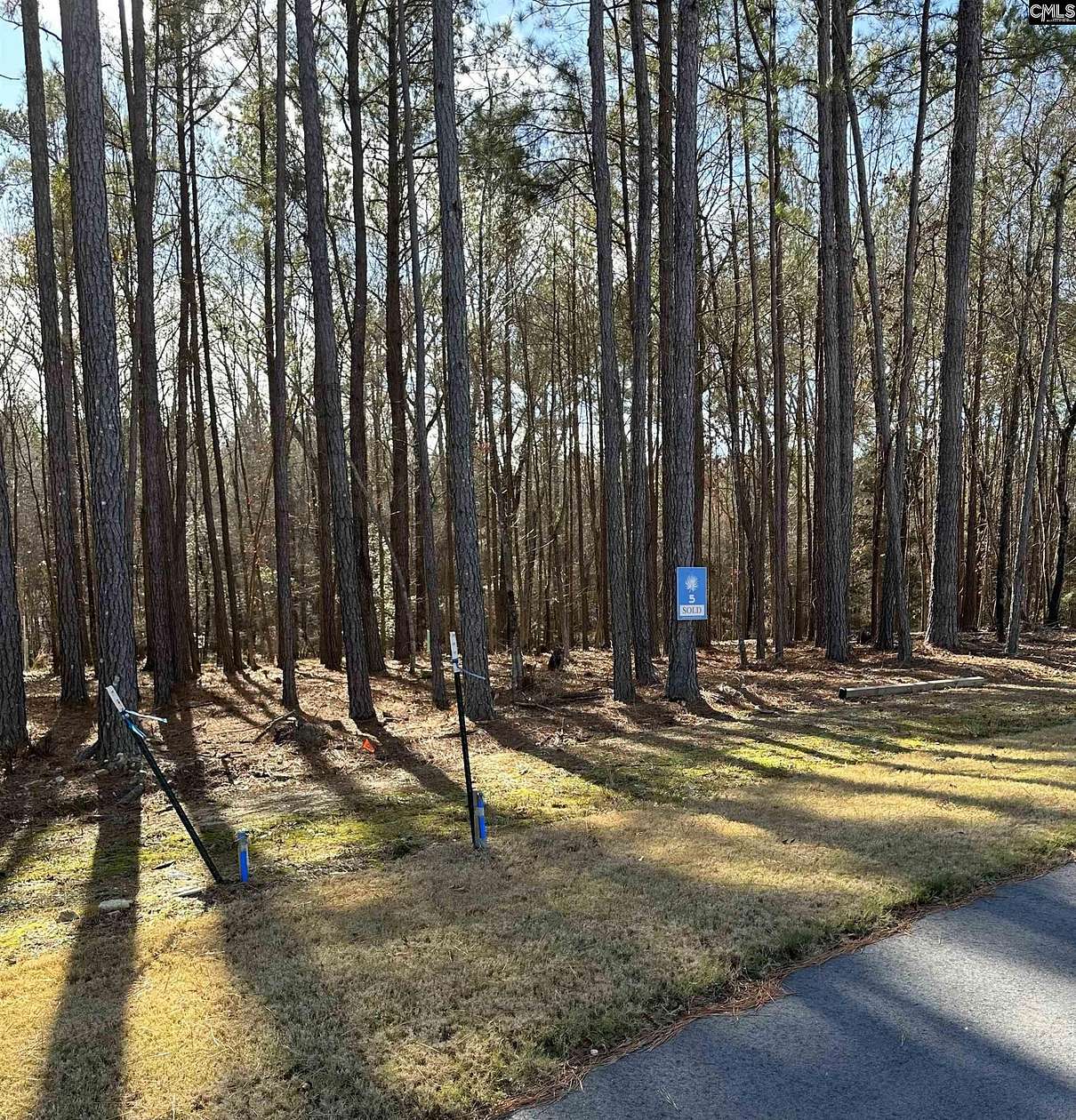 0.28 Acres of Residential Land for Sale in Prosperity, South Carolina