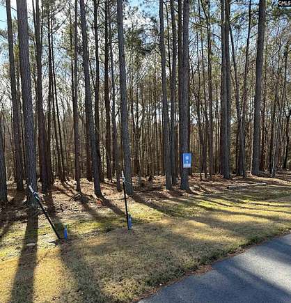 0.28 Acres of Residential Land for Sale in Prosperity, South Carolina