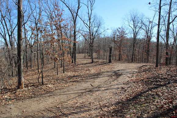 28.5 Acres of Agricultural Land for Sale in Peel, Arkansas