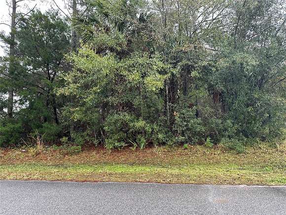 0.29 Acres of Residential Land for Sale in Palm Coast, Florida